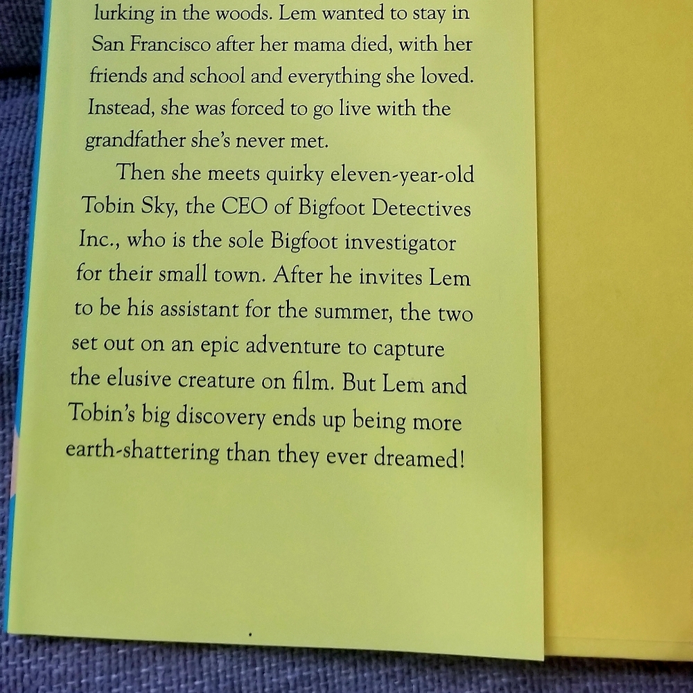 Chapter Book - Picture 5 of 5